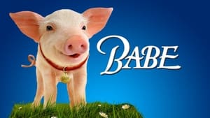 Ein Schweinchen namens Babe