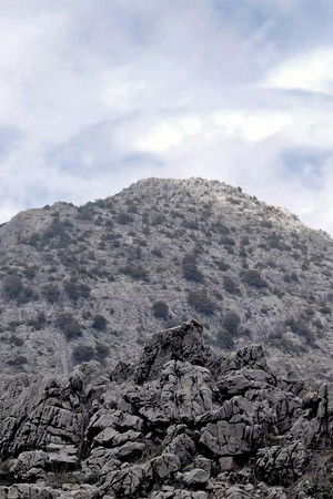 The Interpreter (2026)