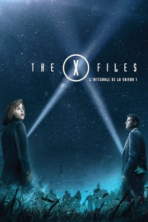 X-Files : Aux frontières du réel - Saison 1 - poster n°2