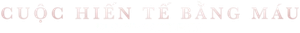 Ảnh 15