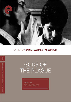 Gods of the Plague