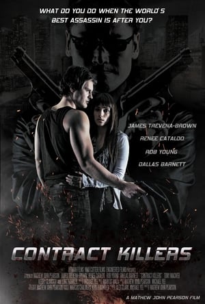 Poster Contract Killers (2014)