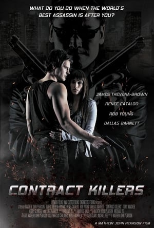 Poster Contract Killers 2014