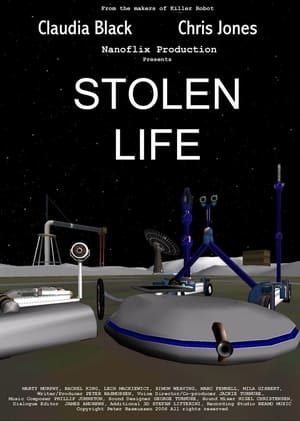 Poster Stolen Life (2007)