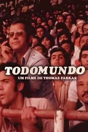Poster Todomundo (1980)