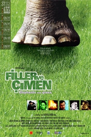 Poster Elephants and Grass 2000