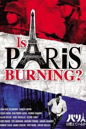Poster パリは燃えているか 1966