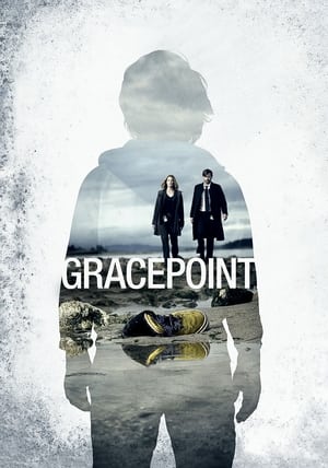 Gracepoint: Temporada 1