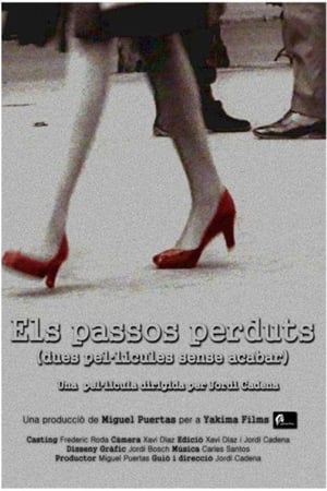 Poster Els passos perduts (2010)