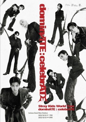 Beyond LIVE - Stray Kids World Tour〈dominATE : celebrATE〉 (2025)