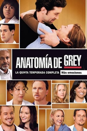 Anatomía de Grey: Temporada 5