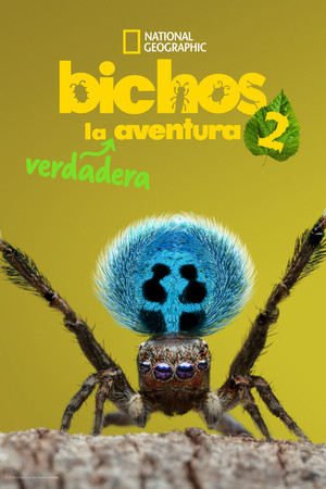 Bichos: La verdadera aventura: Temporada 2