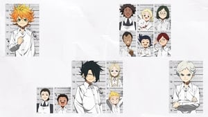 The Promised Neverland serial
