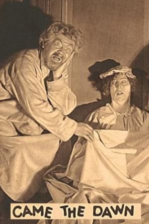 Poster Came the Dawn (1928)