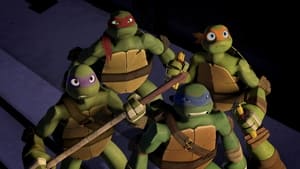 Teenage Mutant Ninja Turtles Rise of the Turtles (2)