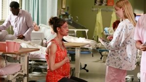 Grey’s Anatomy 11×20