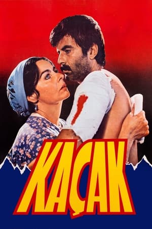Poster Kaçak (1982)