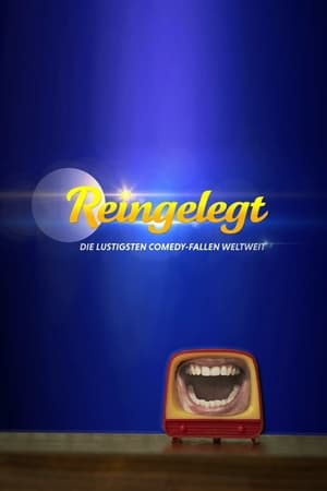 Poster Reingelegt Season 2 Episode 4 2020