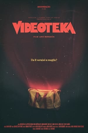 Poster Videoteka 2024