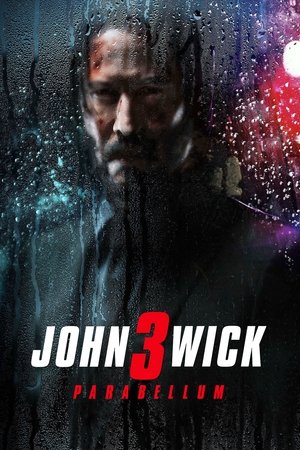 poster John Wick: Chapter 3 - Parabellum