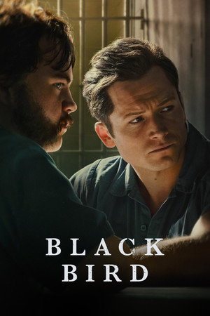 Black Bird 114