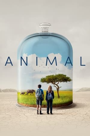 Poster Animal (2021)