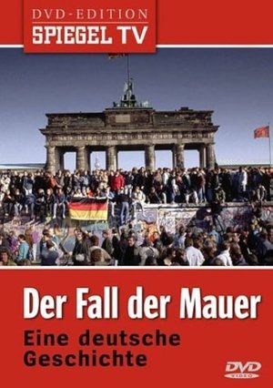 Der Fall der Mauer 2005