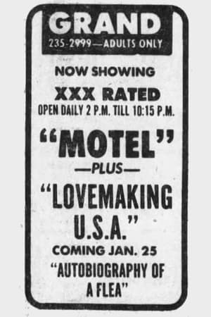 Poster Lovemaking U.S.A. 1971