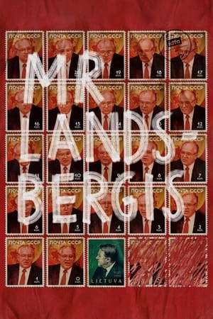 Poster Mr. Landsbergis (2021)