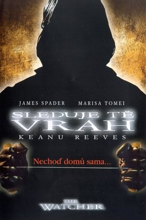 Sleduje tě vrah (2000)