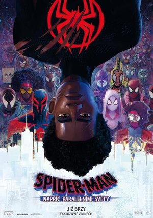 poster Spider-Man: Across the Spider-Verse