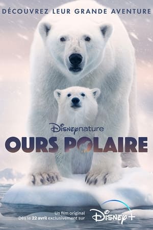 Voir Film Ours polaire streaming VF gratuit complet