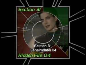 Image Section 31: Hidden File 04 (S06)