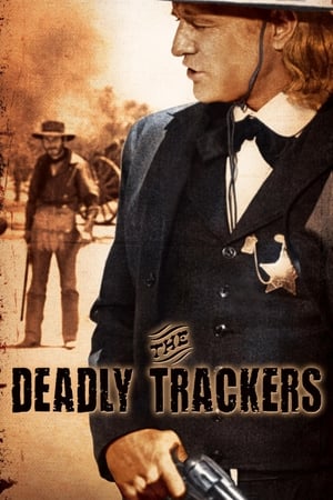 Poster The Deadly Trackers 1973