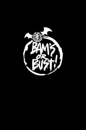 Bam's or Bust! (2008)