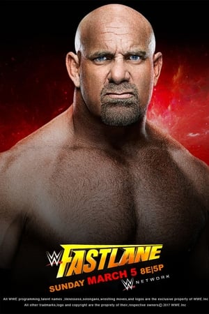 Poster WWE Fastlane 2017 (2017)