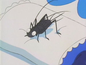 Thumbnail Episode 105: Episode 105