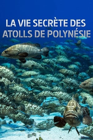 La vie secrète des atolls de Polynésie