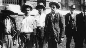 Ammunition Smuggling on the Mexican Border