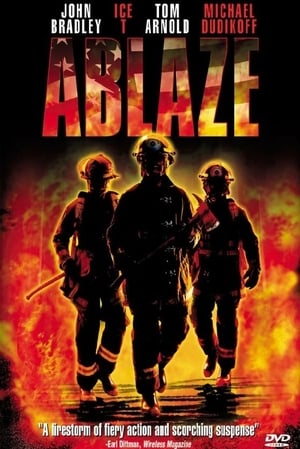 Poster Tempête de feu 2002