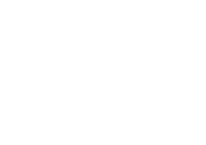 Terra Estrangeira — Logos 1
