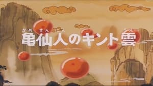 Dragon Ball - Dragon Ball - Saison 1 - Le Nuage supersonique de Tortue Géniale - image n°7