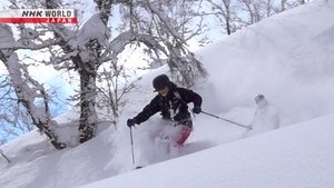 Journeys in Japan: 14×10