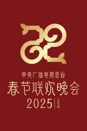 Image CCTV Spring Festival Gala