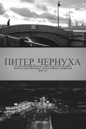 Poster Petersburg. Noir (2018)