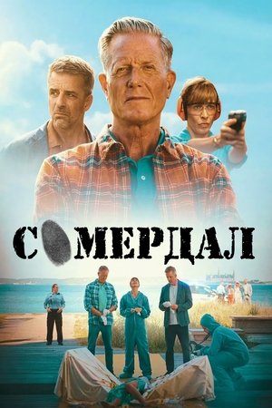 Сомердал Сезон 1 2025