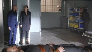 超女: 5×18