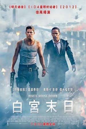 惊天危机 (2013)