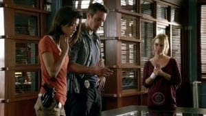 Hawaii 5.0: s1 e13 PL