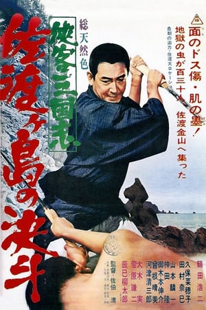 Poster 侠客三国志　佐渡ヶ島の決斗 1966